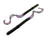 Curly Tail
